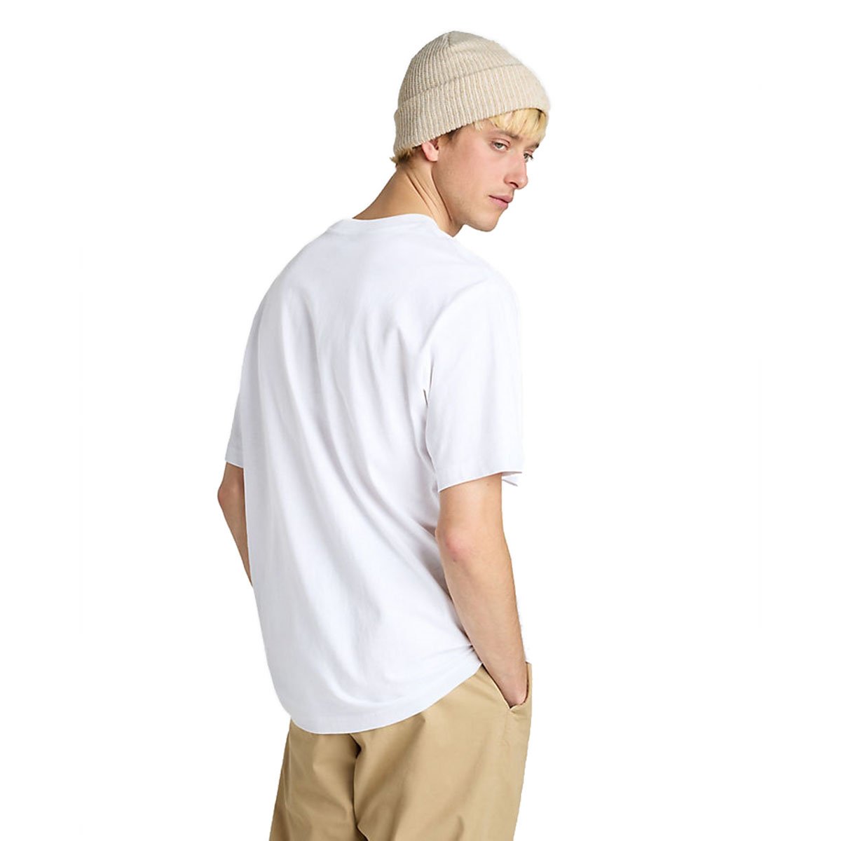 SALTON LOOSE SS