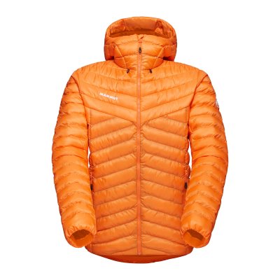 Albula IN Hooded Jacket Men