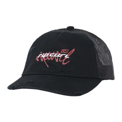 INNER VISIONS TRUCKER