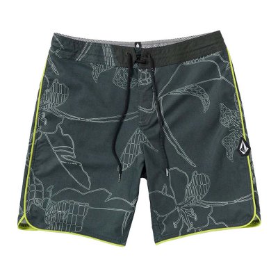 MISTER FIB SCALLOP STONEY 19