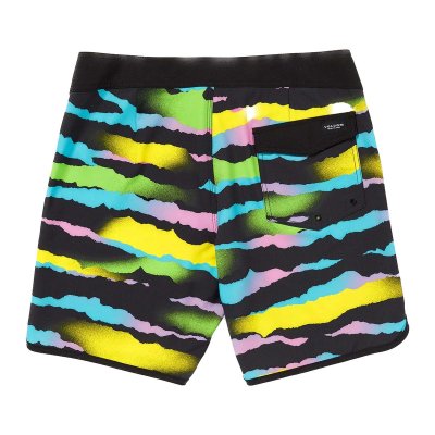 ZEBRA SHIELD SCALLOP MOD 18