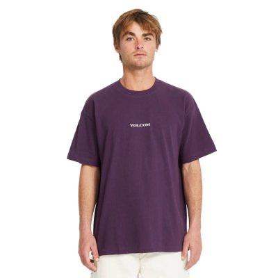 VOLCOM STONE LSE SS TEE