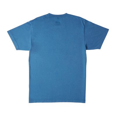 DC STAR PIGMENT DYE HSS