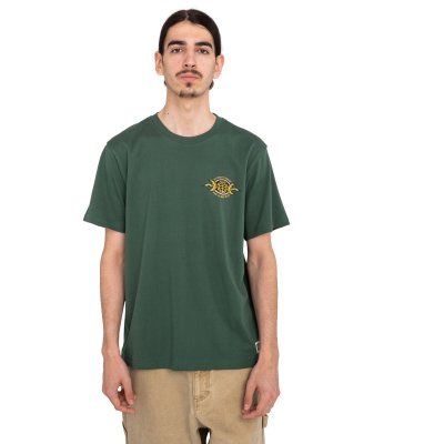 TIMBER ACCEPTANCE SS