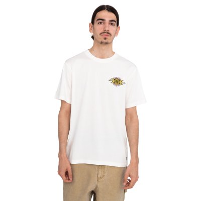 TIMBER ACCEPTANCE SS