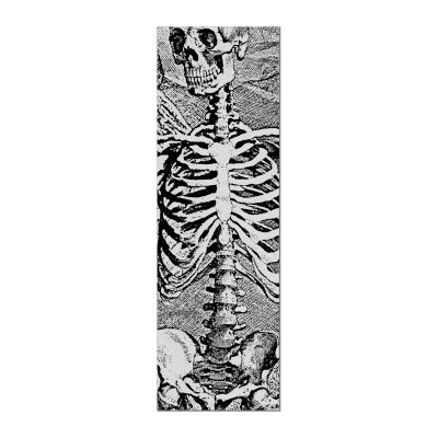 SAS SKELETON CLEAR 10,5 X 33