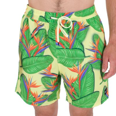 CANNONBALL VOLLEY 17