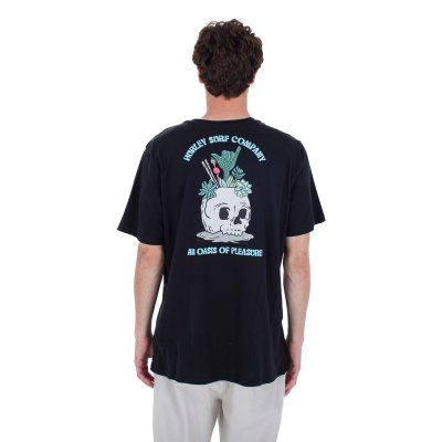 EVD OASIS OF PLEASURE SS