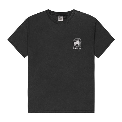 PICTURIDE TEE