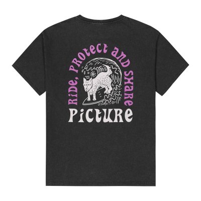 PICTURIDE TEE