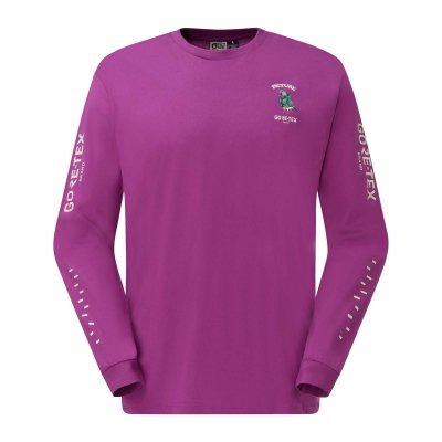 PICTURE X GTX LS TEE