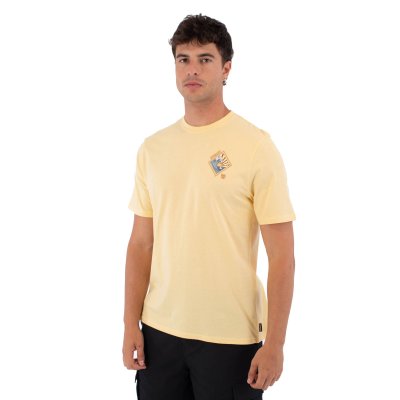 TEE SS PRINTING PRESS DISQUES