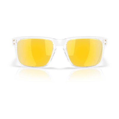 HOLBROOK POLAR