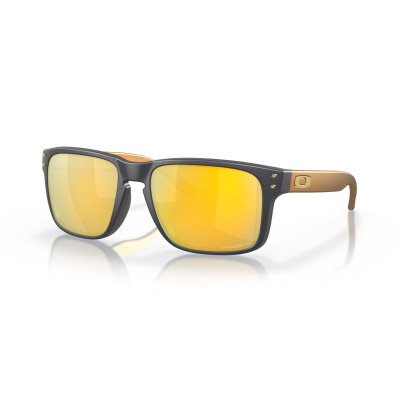 HOLBROOK POLAR