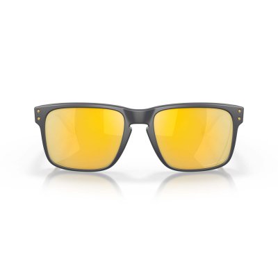 HOLBROOK POLAR