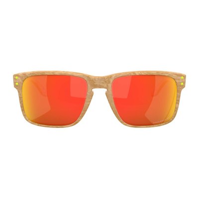 HOLBROOK POLAR