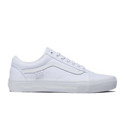 Skate Old Skool Canvas