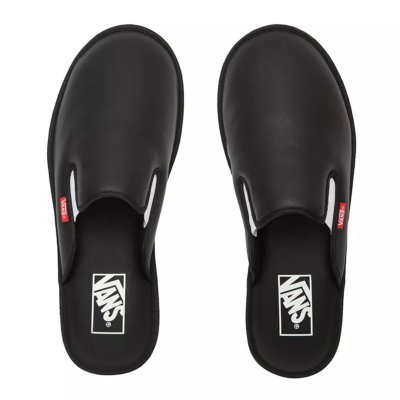 mountain mule mte vans