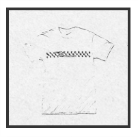 vans polo